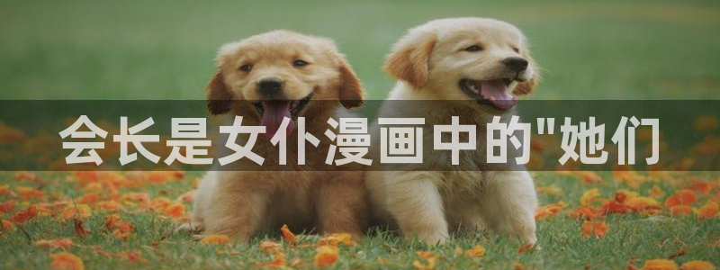 虫虫漫画官网