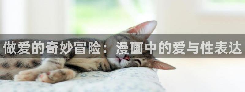 虫虫漫画韩国在线观看