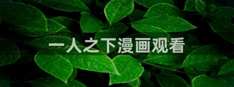 虫虫漫画网站
