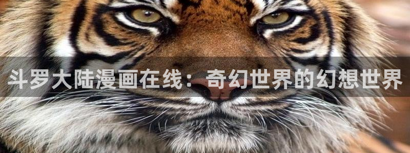 虫虫漫画在线观看漫画入口