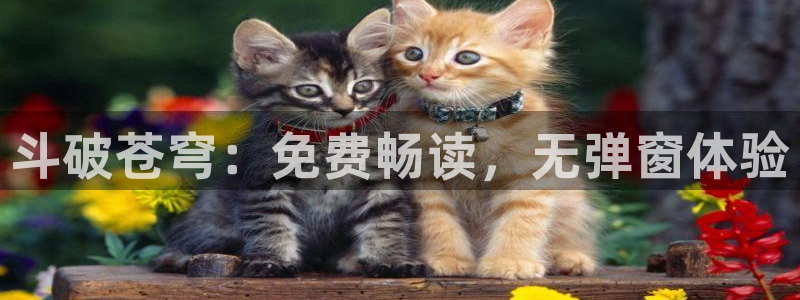 虫虫漫画图：斗破苍穹：免费畅读，无弹窗体验