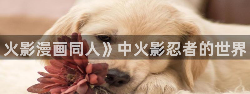 虫虫漫画在线免费观看怦然心动：火影漫画同人》中火影忍者的世界