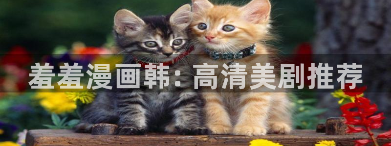 虫虫漫画免费下载：羞羞漫画韩: 高清美剧推荐