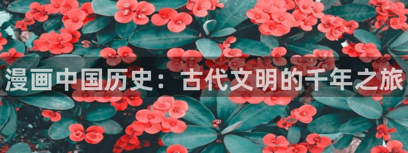 虫虫3d漫画：漫画中国历史：古代文明的千年之旅
