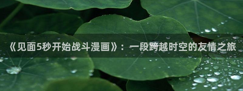 旧版虫虫漫画：《见面5秒开始战斗漫画》：一段跨越时空的友情之旅