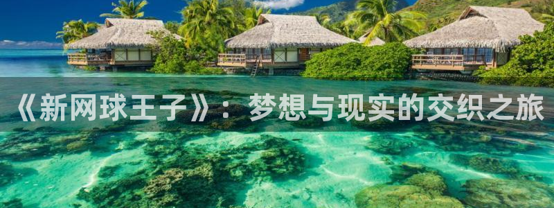 虫虫漫画在：《新网球王子》：梦想与现实的交织之旅
