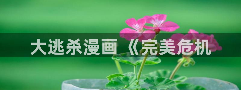 虫虫漫画无删减进入网址