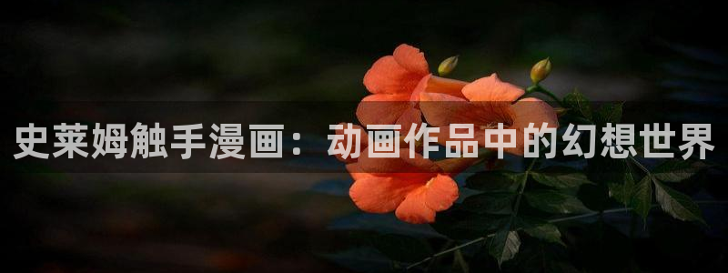 虫虫漫画网页版