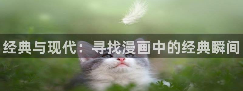 汗汗虫虫漫画正版免费观看