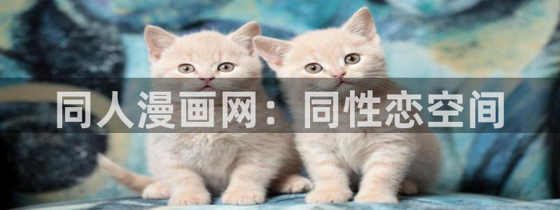 虫虫漫画在线阅读页面免费漫画入口：同人漫画网：同性恋空间
