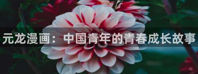 给大家科普一下虫虫漫画